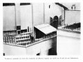 img005.jpeg.small.jpeg